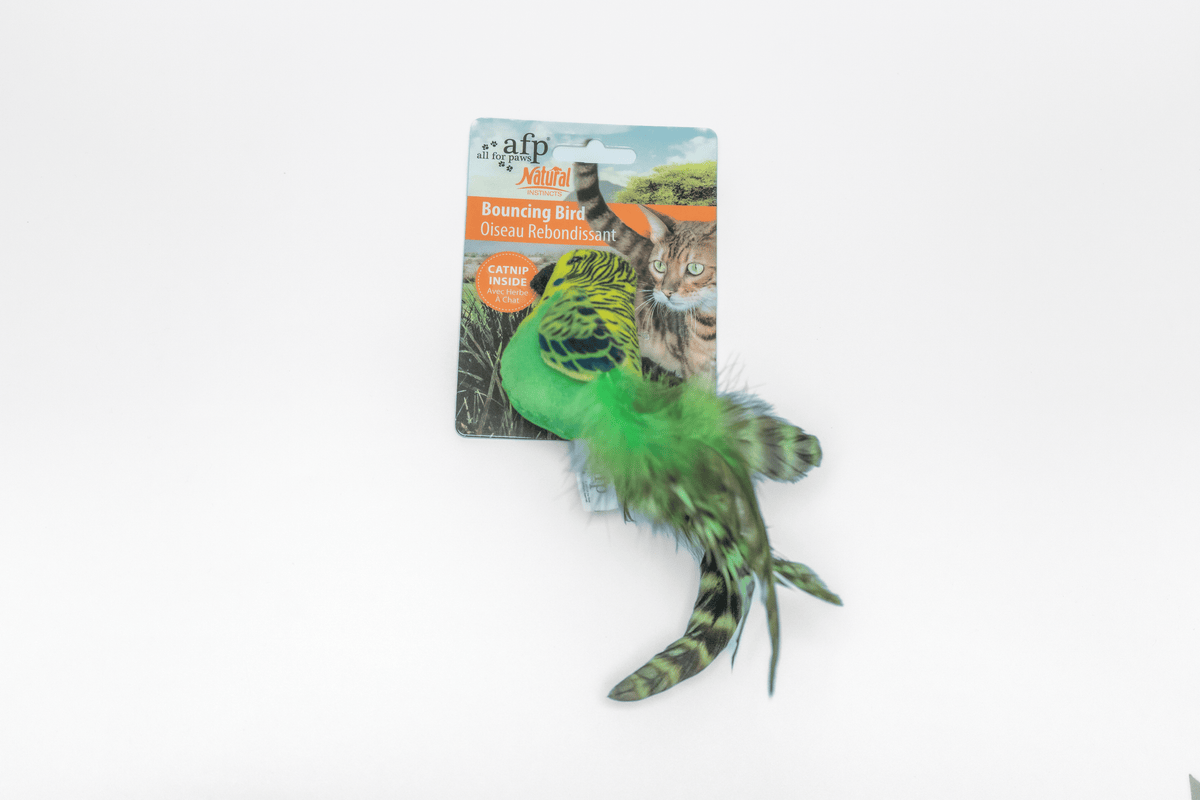 Bouncing Bird