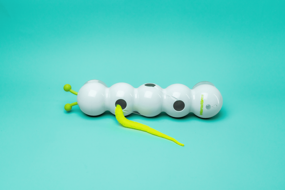 Automatic Wack'A'Worm Toy