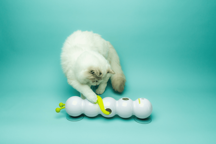 Automatic Wack'A'Worm Toy