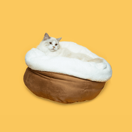 Lambswool Donut Cat Bed