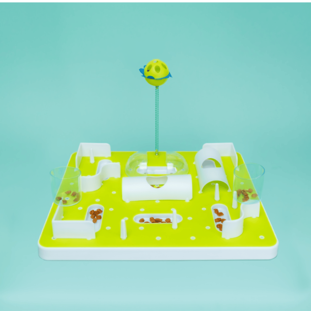 Treat Maze