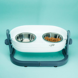 Elevated Double Food Bowl