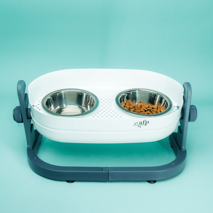 Elevated Double Food Bowl