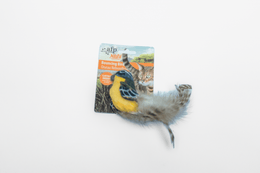 Bouncing Bird