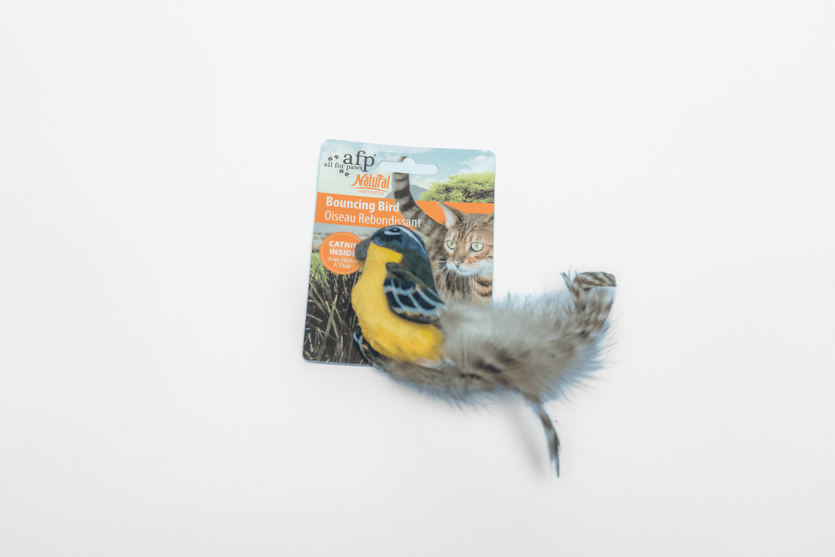 Bouncing Bird