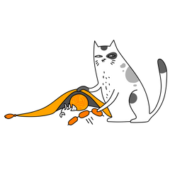 PURRFECT CAT ITEMS