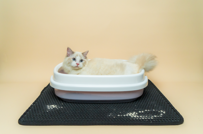 Cat Litter Trapper Mat