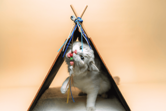 Dream Teepee Tent