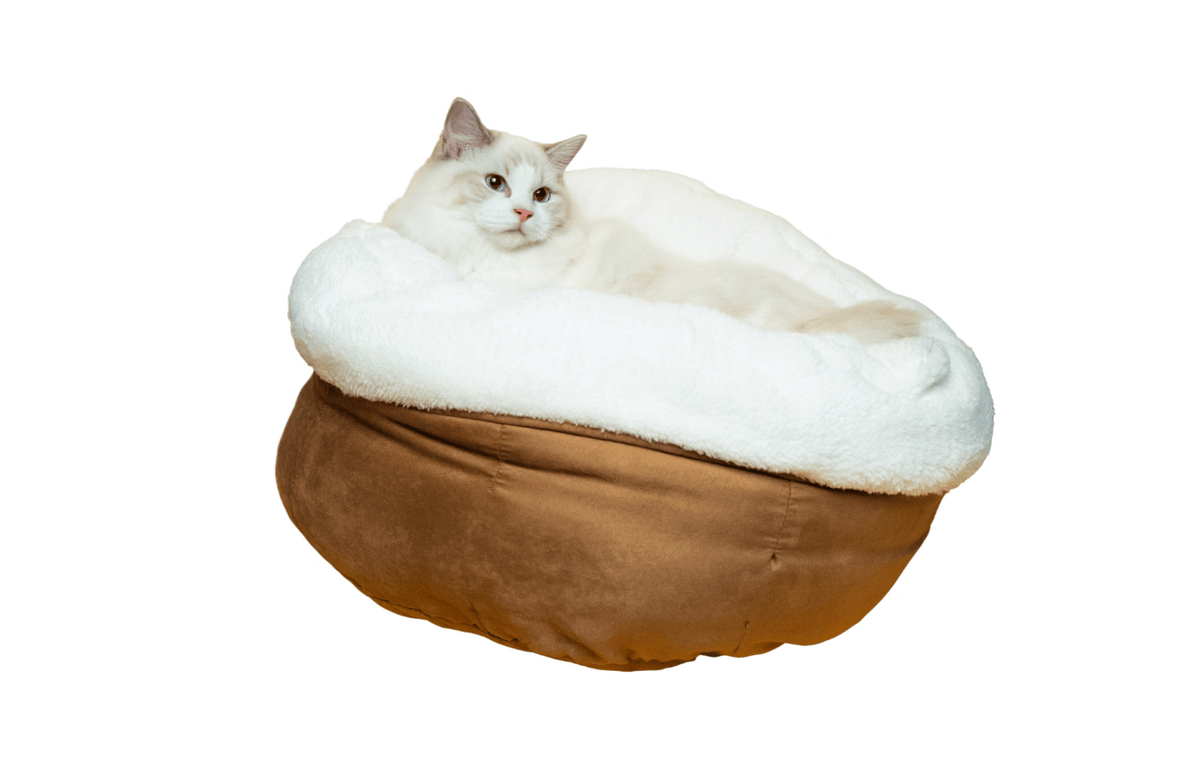 Lambswool Donut Cat Bed